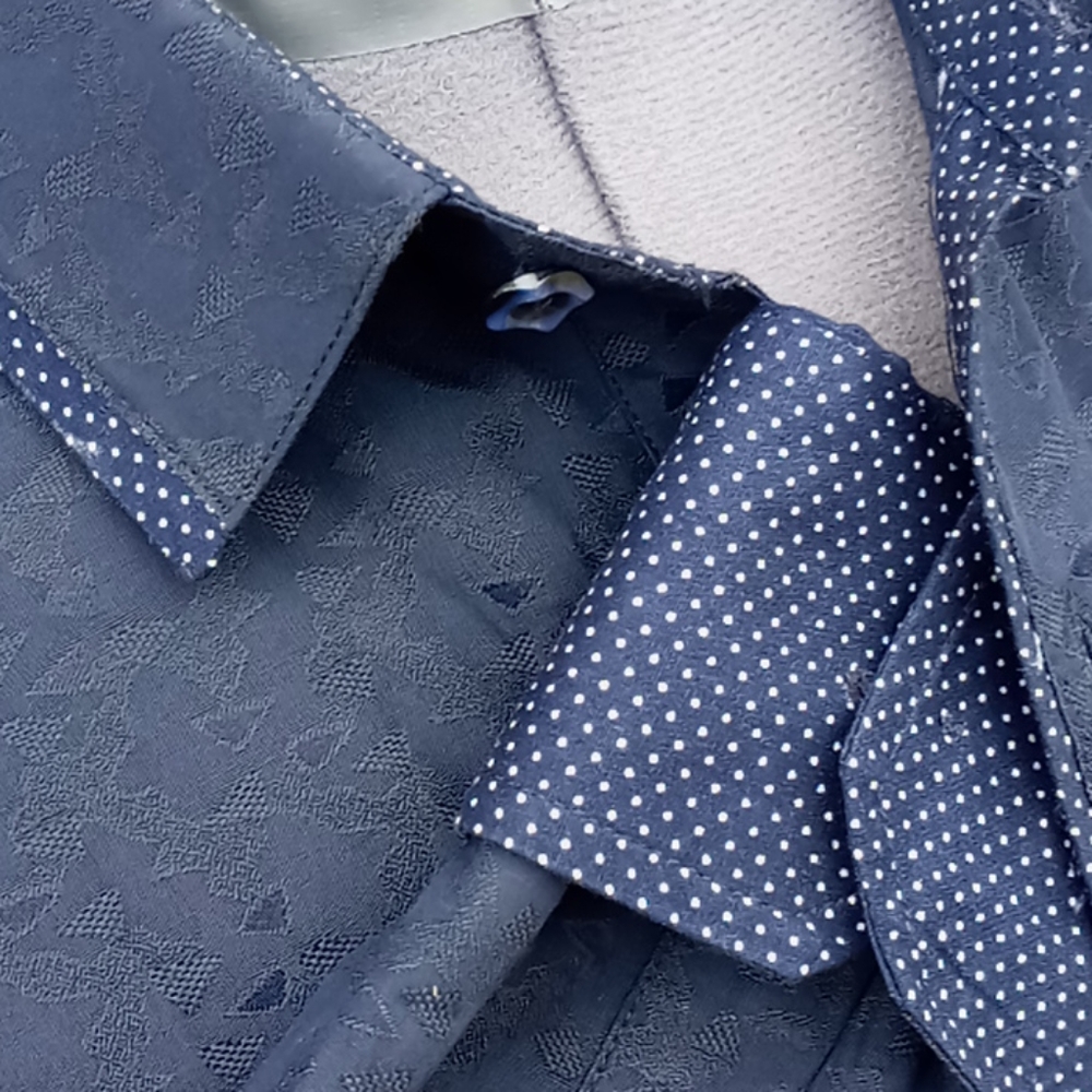 PERRUZO MEN'S CONTRASTING COLLAR & CUFFS LUX SHIRT
